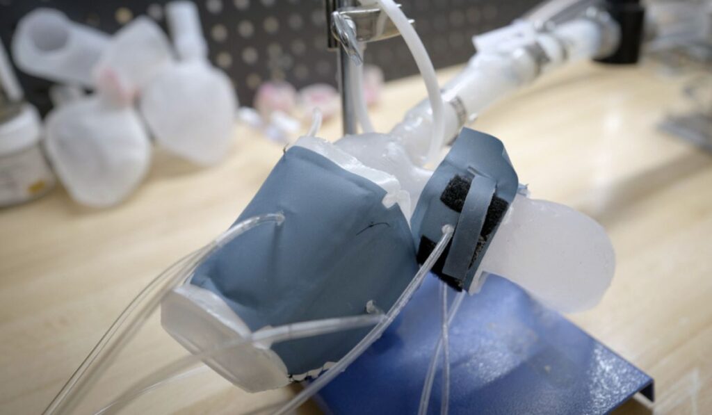 Custom, 3D-printed heart replicas look and pump just like the real thing